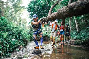 BIB: 
                            <button type="button" onclick="openModal(25369062)" class="btn btn-primary btn-sm float-right btn-popup" data-toggle="modal" data-target=".modal-high-quality">
                        <i class="fas fa-shopping-cart"></i> Add to Cart
                    </button>
                                            <button type="button" onclick="isThisMe(25369062, true)" class="btn btn-success btn-sm float-right btn-popup btn-isme hidden" data-toggle="tooltip" data-placement="bottom" title="นี่คือรูปของคุณใช่ไหม คลิกที่นี่เพื่อเอาเข้าอัลบั้ม">
                        <i class="fas fa-plus"></i> Add to album
                    </button>
                    <button type="button" onclick="isThisMe(25369062, false)" class="btn btn-warning btn-sm float-right btn-popup btn-isnotme hidden">
                        <i class="fas fa-ban"></i> Remove from album
                    </button>